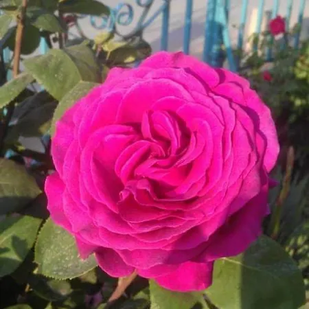 Lozite מלון סוזופול