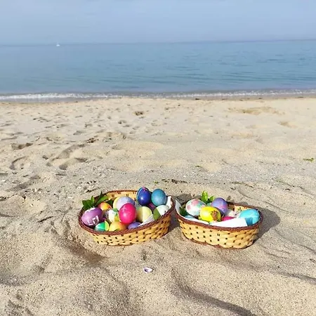Хотел лозите